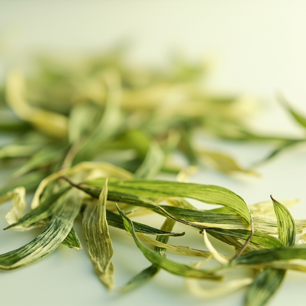 绿茶