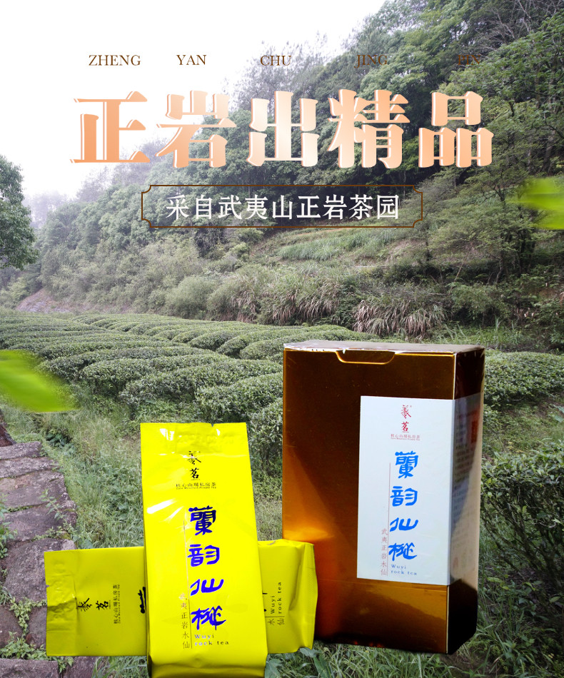 铁观音